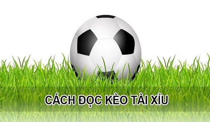 Kèo Nhà Cái Hiểu Đúng Trong Cá Cược Thể Thao