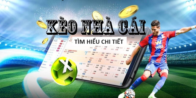 Kèo Nhà Cái Hiểu Đúng Trong Cá Cược Thể Thao